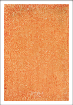 Art Museum In Austin