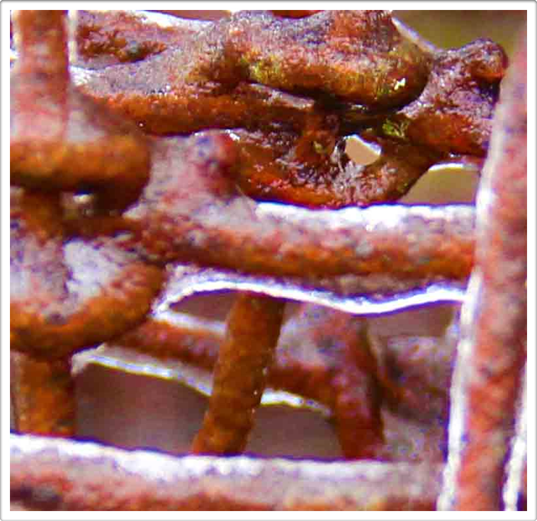 Barton Creek Photography